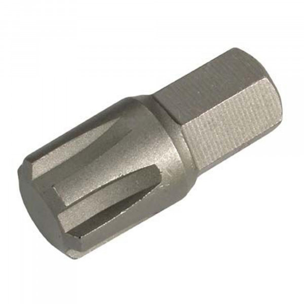 RIBE Bit, 30 mm lang, M13