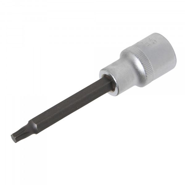 Spezial-T-Profil-Einsatz, 12,5 (1/2), o. B., 100 mm lang, T30