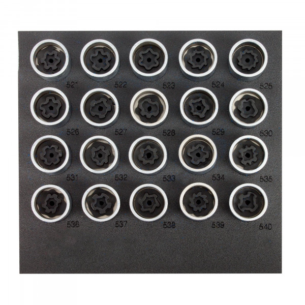 Felgenschloss-Werkzeugsatz für VW, 22-tlg. wie VAG T10313