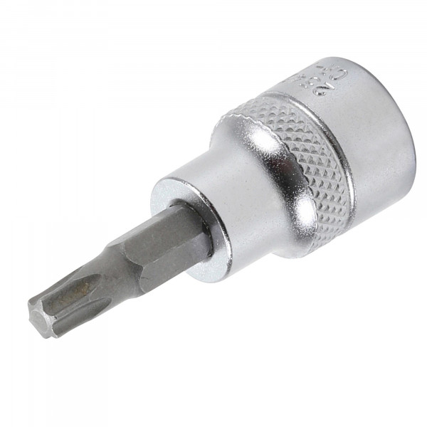 Bit-Einsatz, 10 (3/8), T-Profil (ohne Bohrung), T25