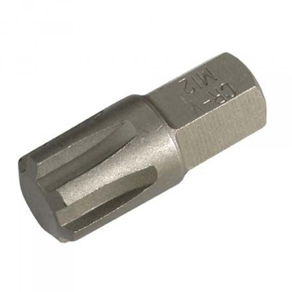 RIBE Bit, 30 mm lang, M12