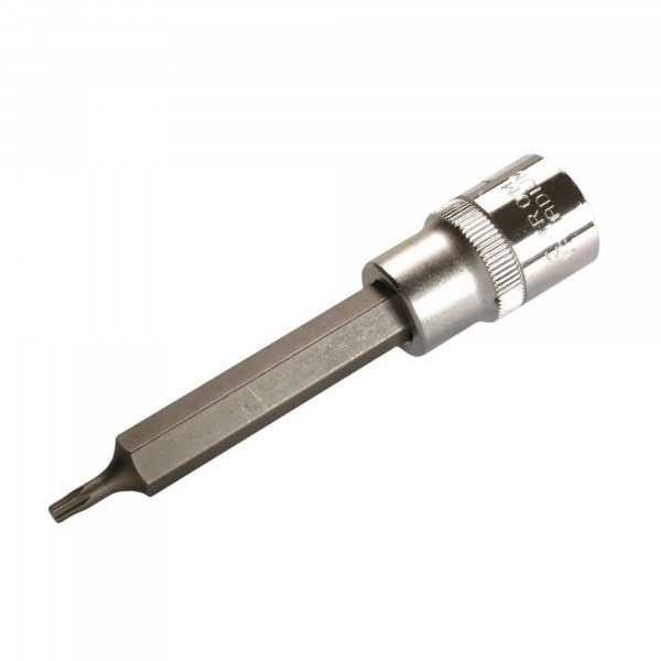 Spezial-T-Profil-Einsatz, 12,5 (1/2), o. B., 100 mm lang, T15