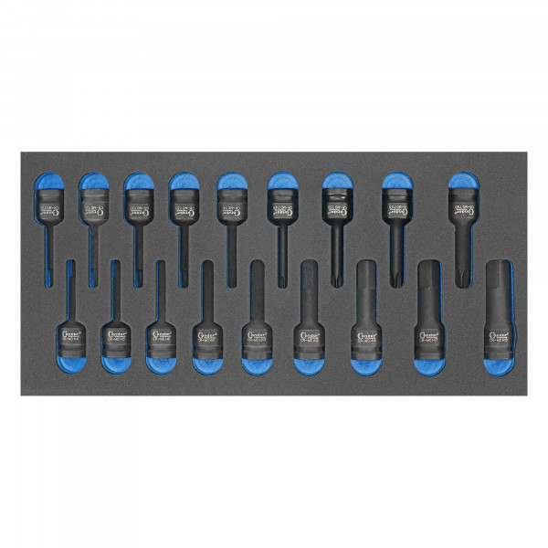 Schaumeinlage T-Profil + Innensechskant, 1/3, 18-tlg., 1/2&quot;