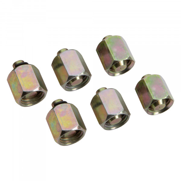 Injektoren-, Rail-Verschlusssatz, 6-tlg., M12x1.5, zur Diagnose an Common Rail Systemen