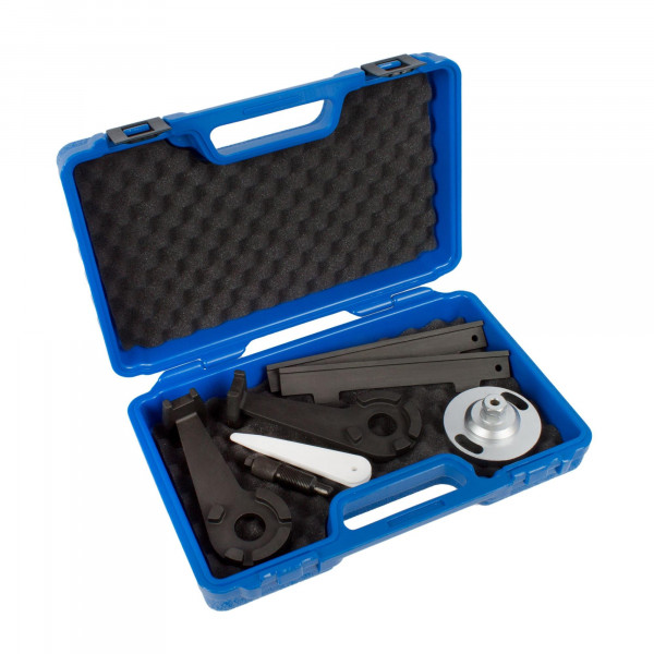 Steuerzeitenwerkzeug-Satz für Audi 4.2L V8